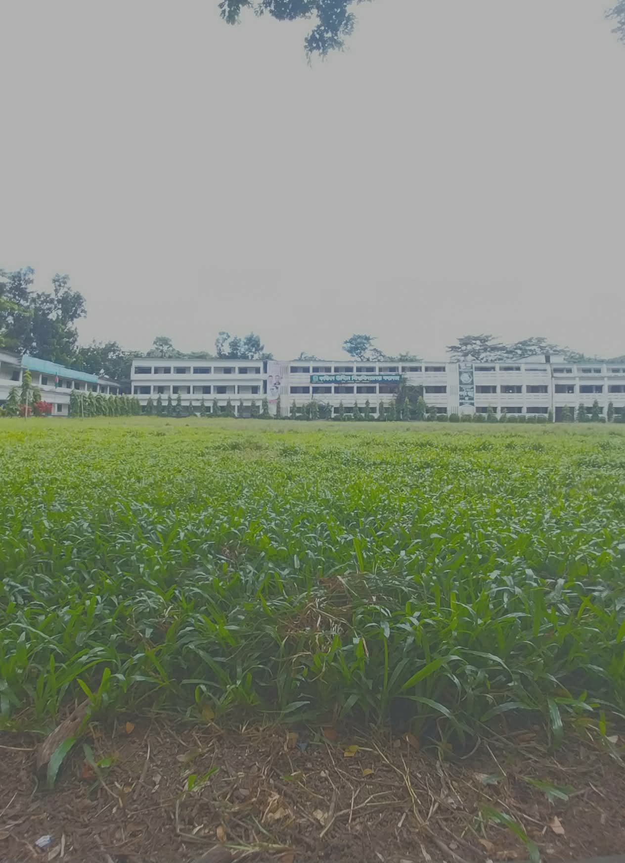 Green Playground of Kafil Uddin Degree College